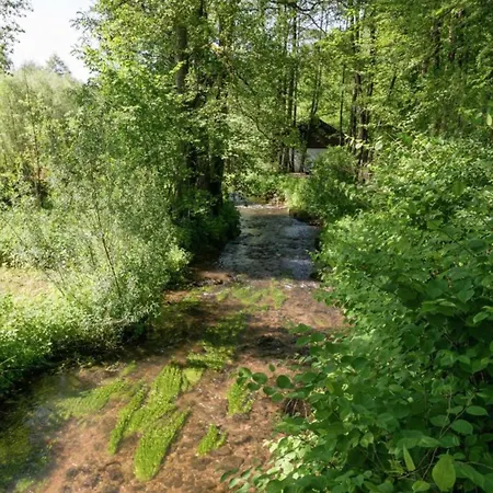 Elegant With Sauna, Cleaning Included Holiday home Baugnez